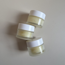 Load image into Gallery viewer, Daily Lip Balm
